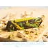 boker-plus-kihon-dubai-chocolate-zsebkes-01bp0038-5